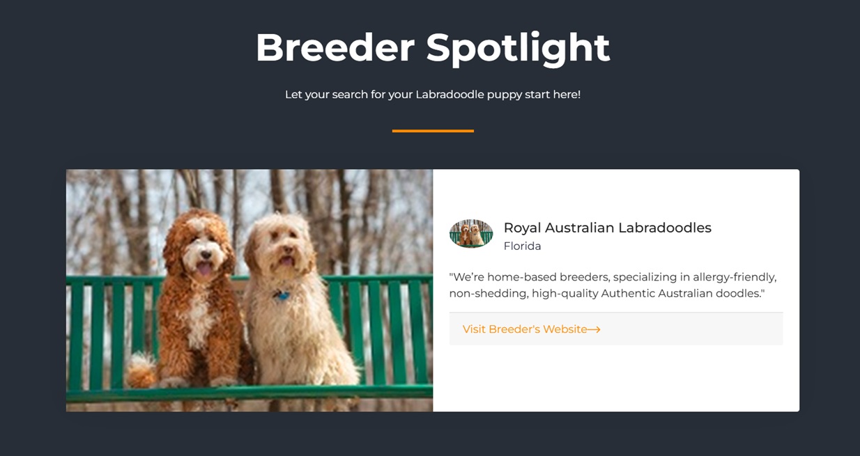 Spotlight listing photo