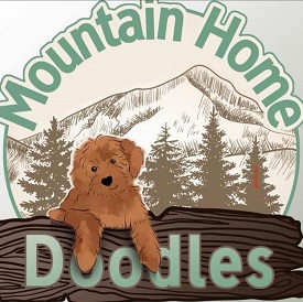 Mountain Home Doodles photo